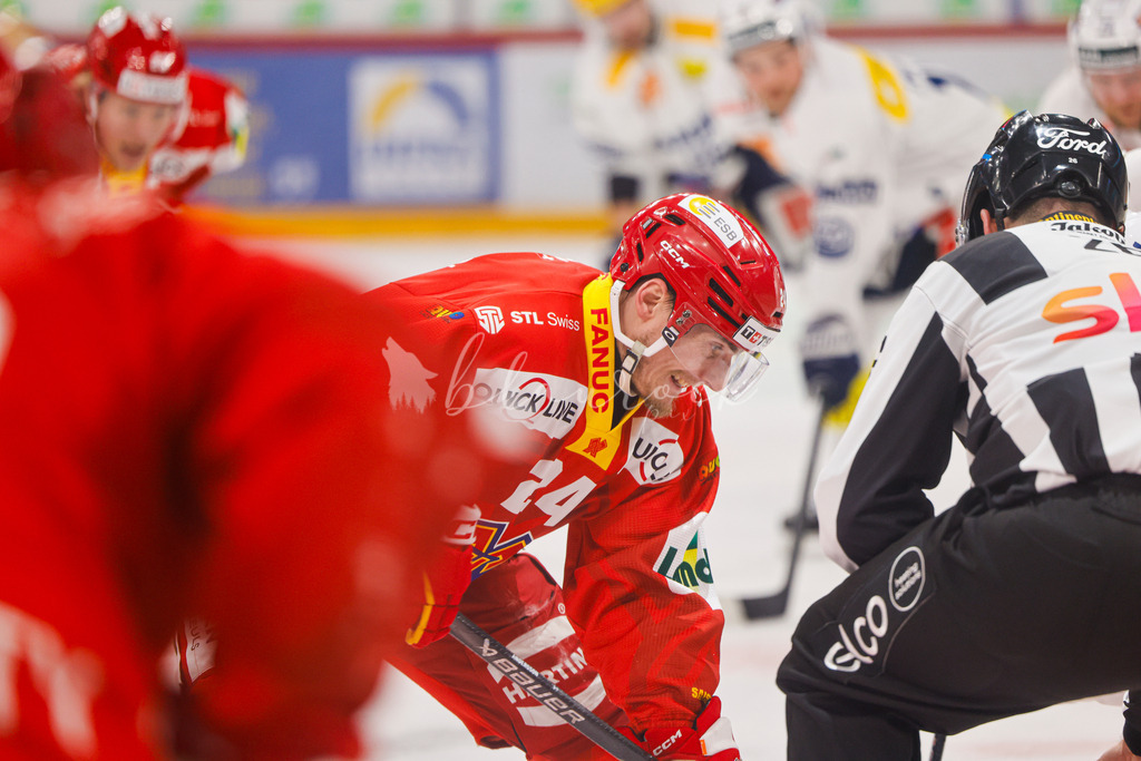 EHCB vs HCAP 20260115_wb-4410 | Sportbilder, Sportfotograf, Hochzeits- und Eventfotografin, Flugshows, Portraits und Tiershooting, Aviation, Downhill, Nationalleague, Swissleague, International