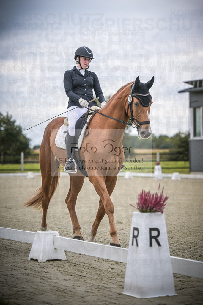 DOS_0078 | Entdecke hochwertige Reitturnierfotos von Foto Oger. Professionell, emotional und authentisch – jetzt Lieblingsmomente im Shop bestellen.Deutschlandweite Turnierfotografie. - Realisiert mit Pictrs.com
