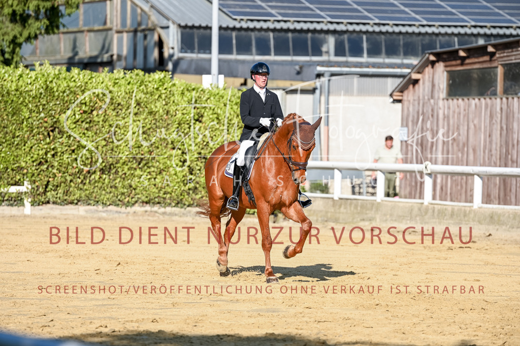 Schugtsche-Aluta25-51.Dressurpferdeprf.M-78 | Schugtsche Fotografie - Realisiert mit Pictrs.com