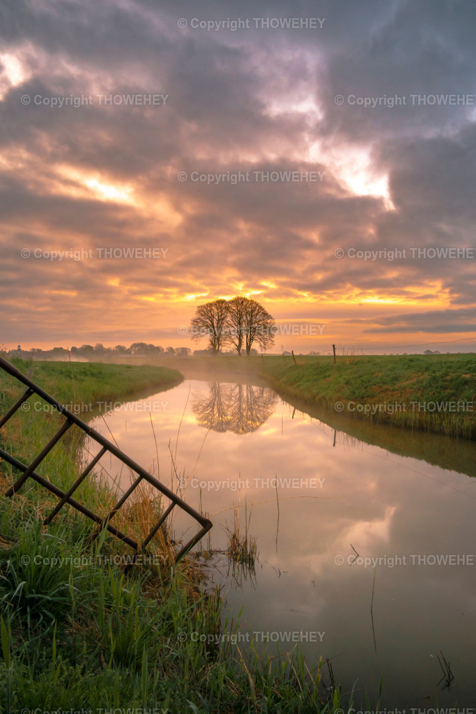 _2860797 | thowehey - Realisiert mit Pictrs.com