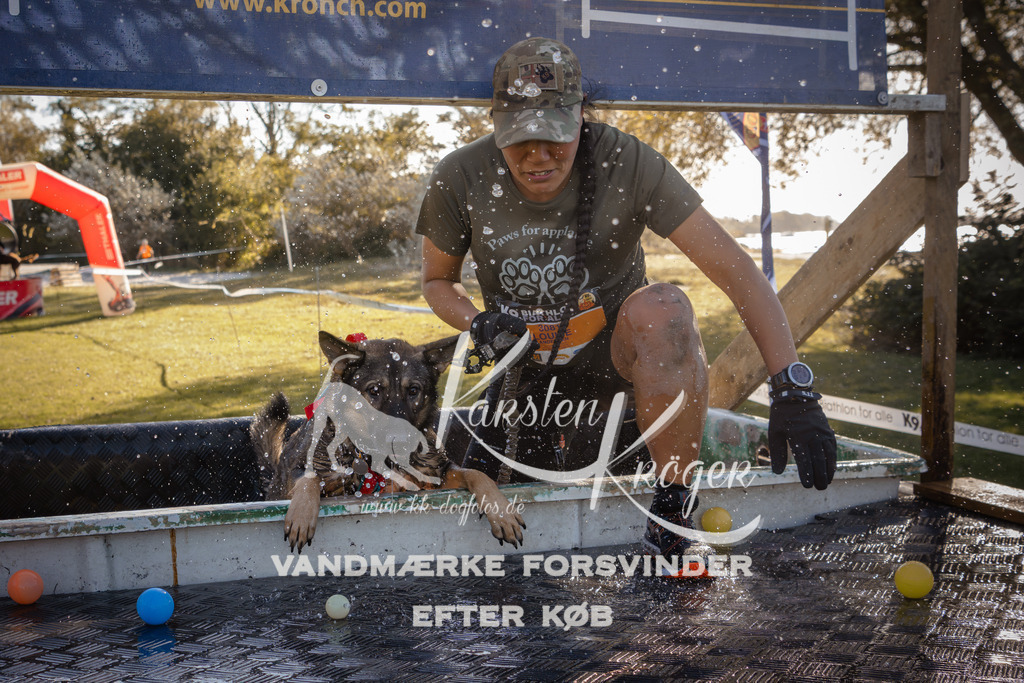 1203_ZZ94464 | kk-dogfotos