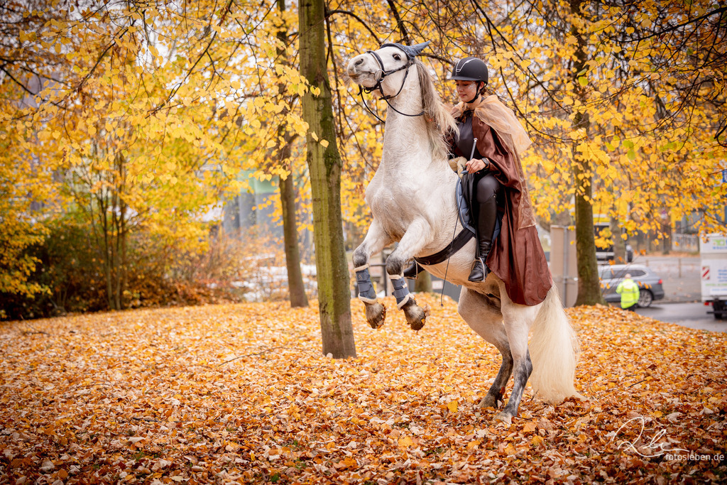 846A8849 | fotosleben - Realisiert mit Pictrs.com