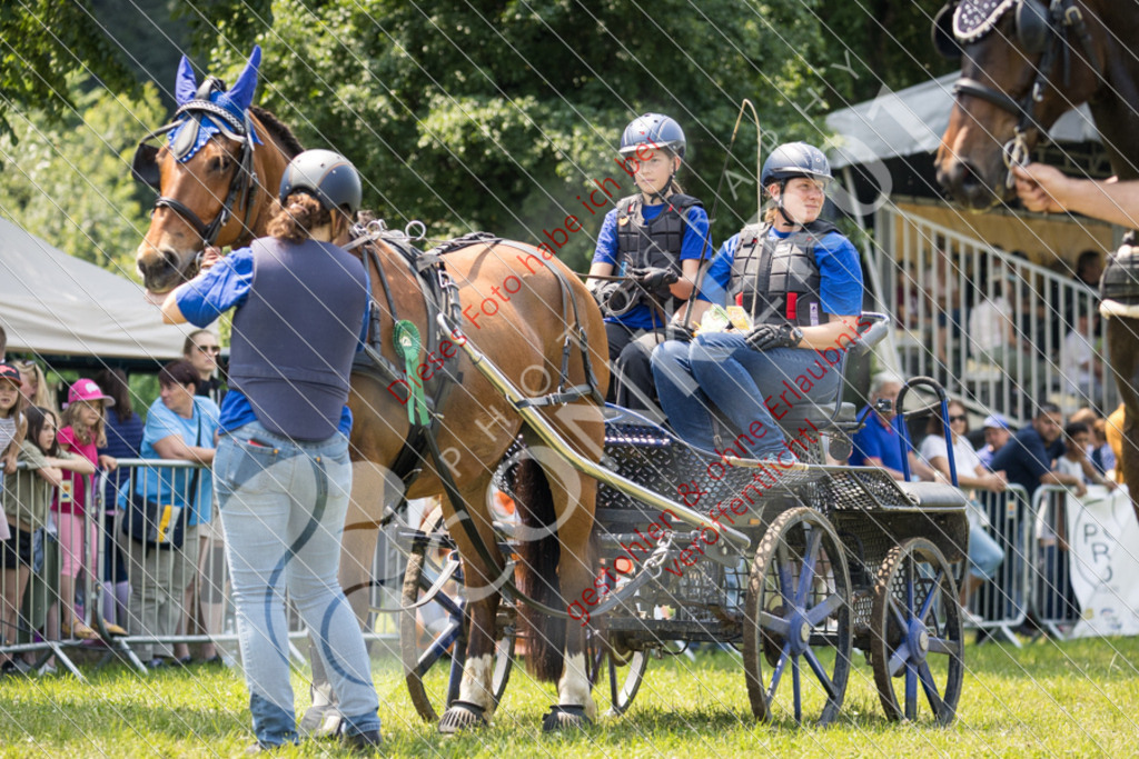IMG_9183 | Sport-, Event- und Tierfotos in Profiqualität. Einfach auswählen, bestellen und herunterladen. Dein Moment – perfekt festgehalten.