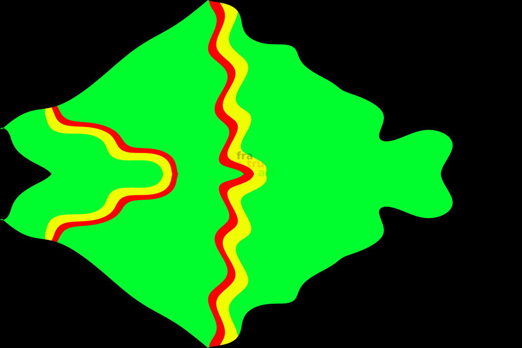 Grüner Fisch | Grafik - Realisiert mit Pictrs.com