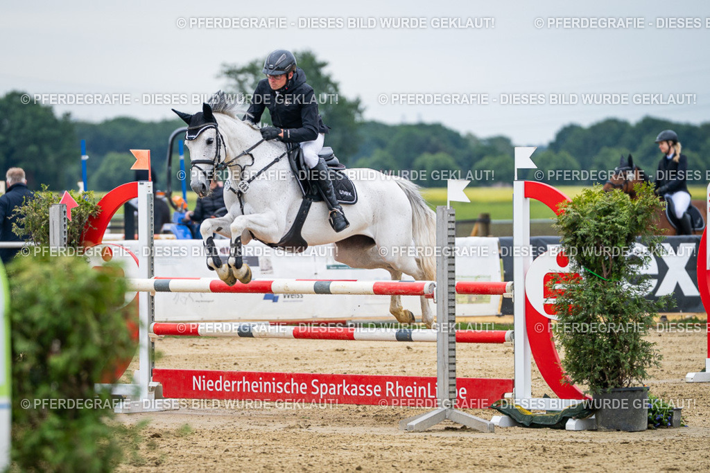 DSC05301 | Pferdegrafie