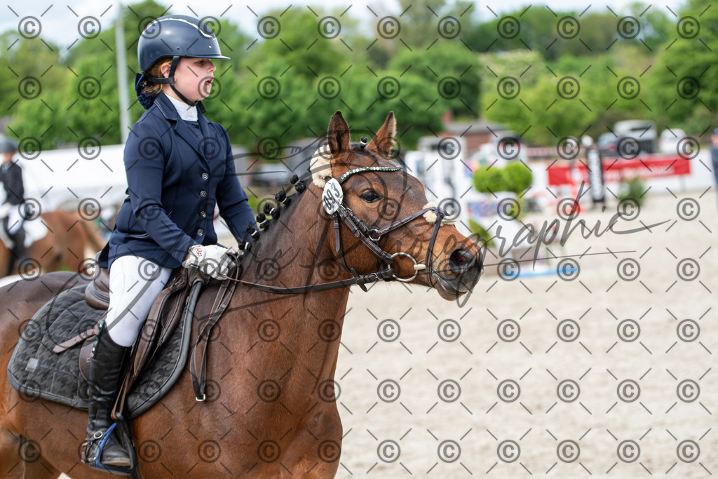 KPT_6014 | andre_photographic