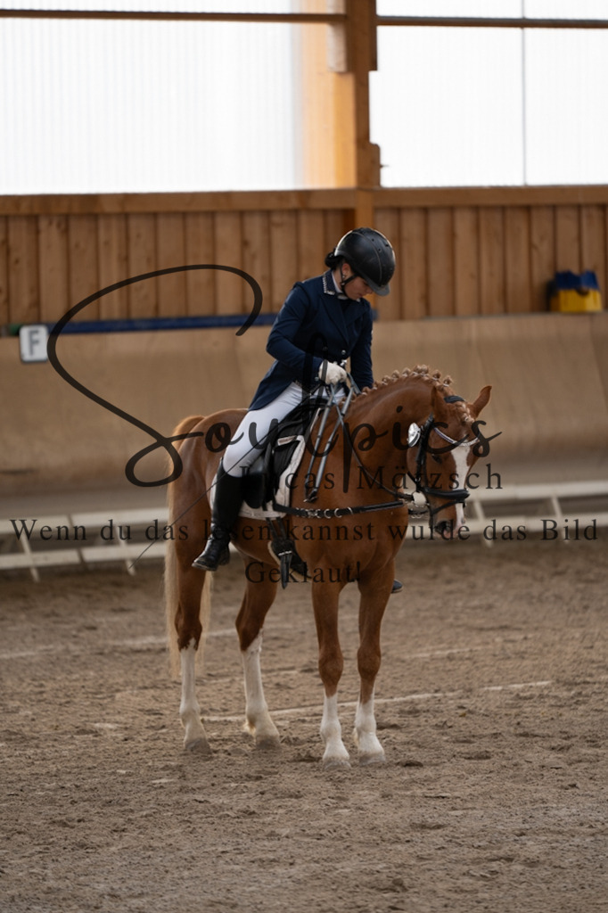 A7V09293 | Pferdefotograf