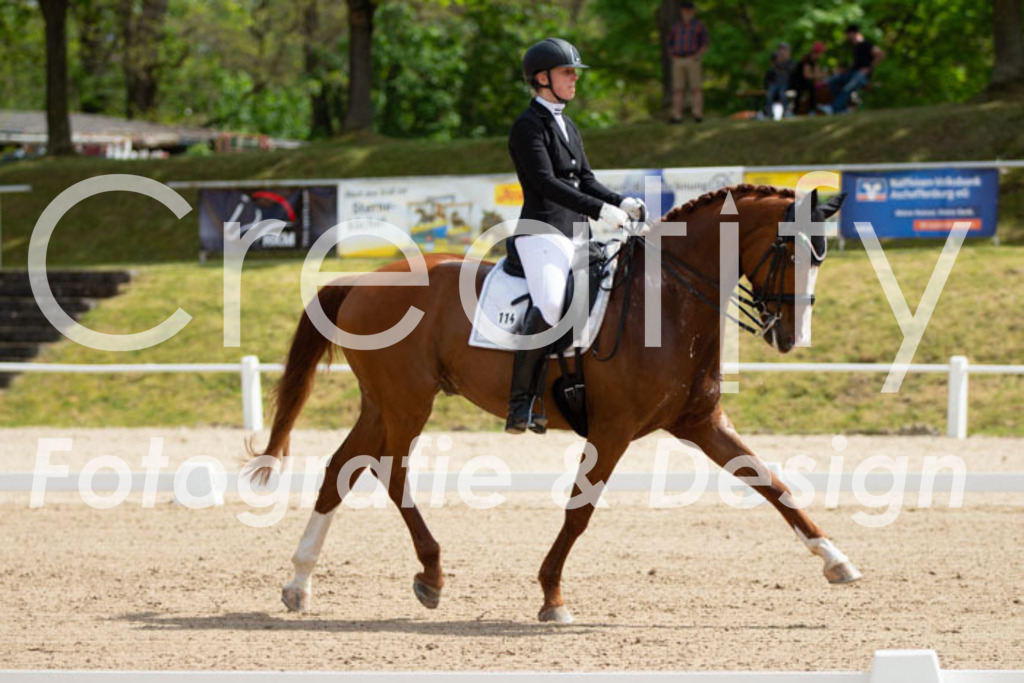 IMG_6414 | Creatify Fotografie