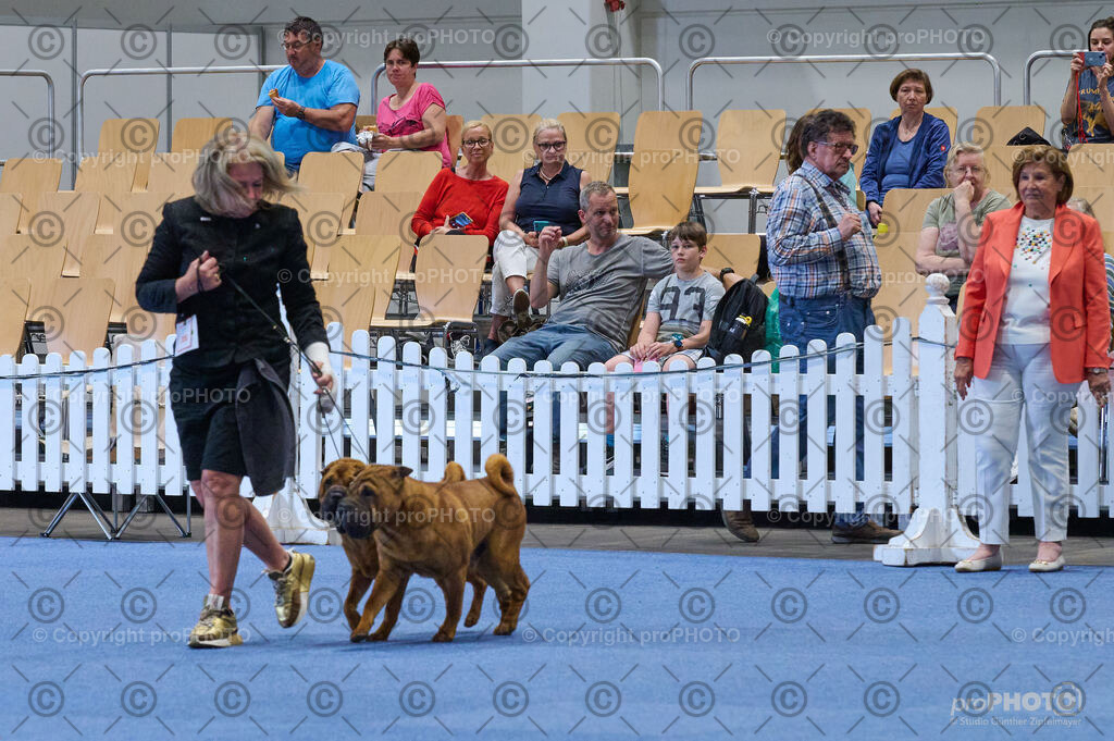 202406_ÖKV-IHA-Tulln24_DSC_4904 | proPHOTO - Realisiert mit Pictrs.com