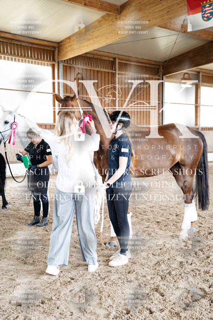 CK703284 | Turnierfotografie Pferdefotografie Trier Rheinland-Pfalz Pferdesport Reitsport Tierfotografie Sportfotografie Pferdevideo Pferdevideografie Equestrianvideography equestrianphotography  - Realisiert mit Pictrs.com