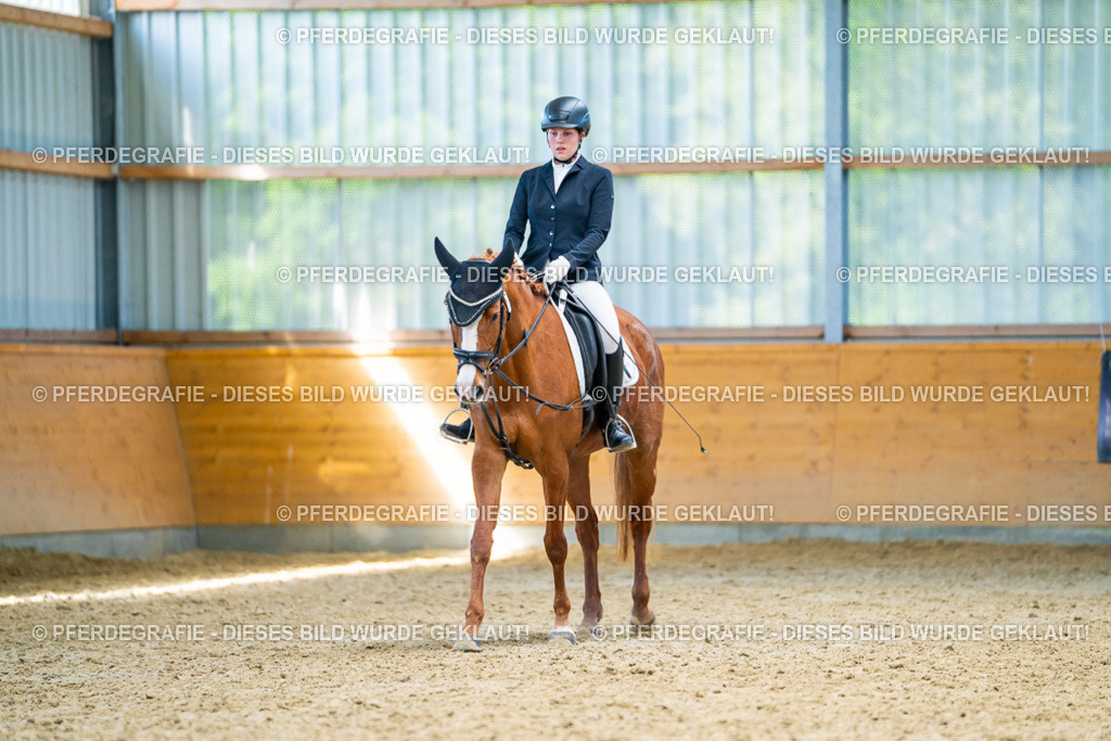 DSC08484 | Pferdegrafie