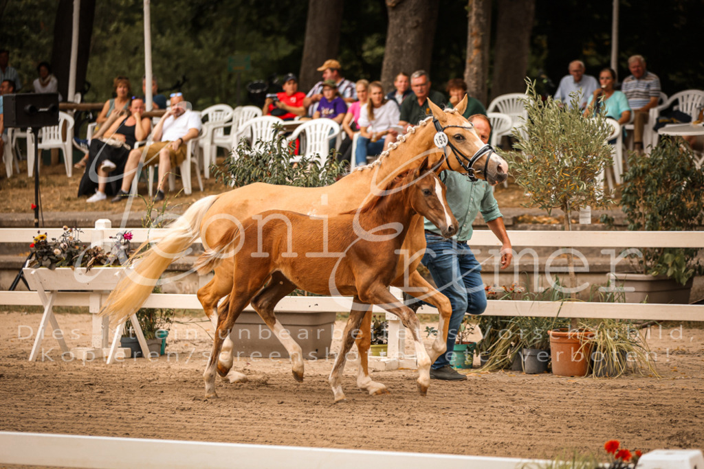 07.So00046 | Leoni Ertmer Photography - Realisiert mit Pictrs.com