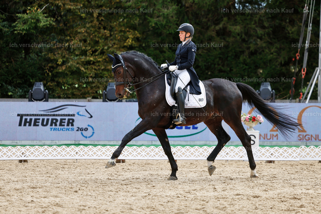 11-007-Dressur S___-StoibPH-1107 | working equitationturnier fotograf videograf stoibphotography marixx film working equitation deutschland reitsport turnierfotografie eventfotografie equestrian events