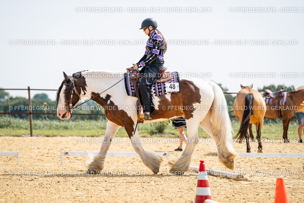 DSC00036 | Pferdegrafie