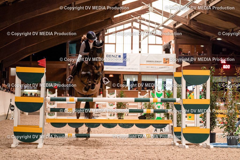 Springen Tag 1-529 | dv-media-shop - Realisiert mit Pictrs.com