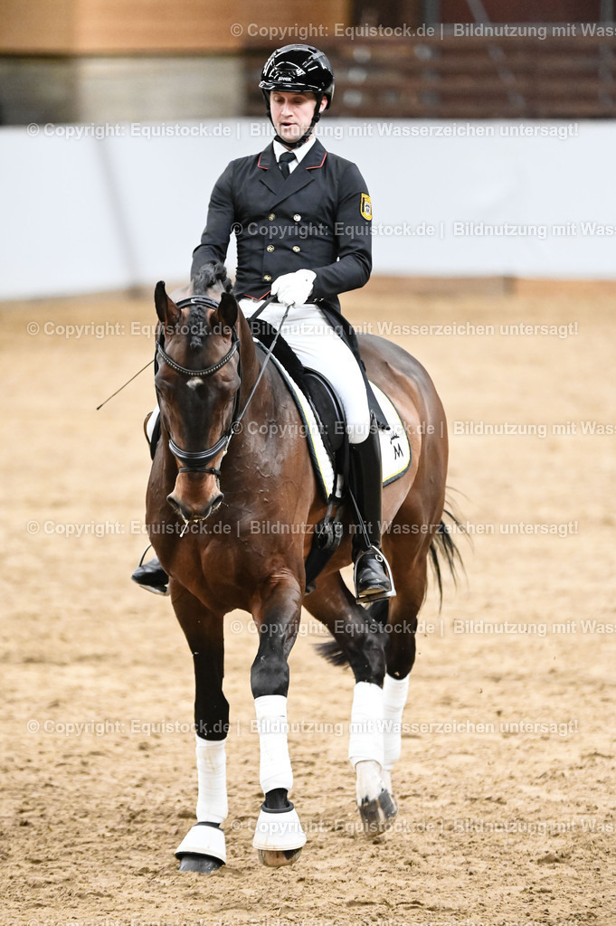 20260307_Hengstvorstellung-Marbach_0347 | equistock