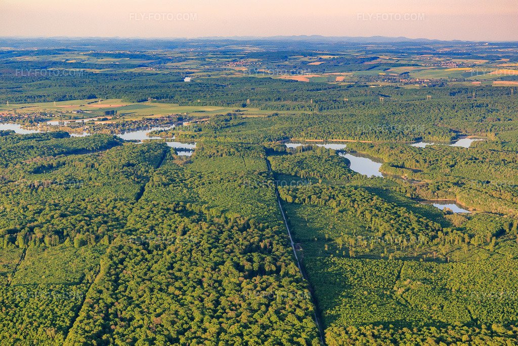 Aerial view: Forest in front of Lake Mittersheim from the west in Mittersheim in the state Moselle, France.Photo: IMG_146185.jpg taken on 05/01/2025 by Werner Riehm/FLY-FOTO.comResolution of the original: 5472 x 3648 px