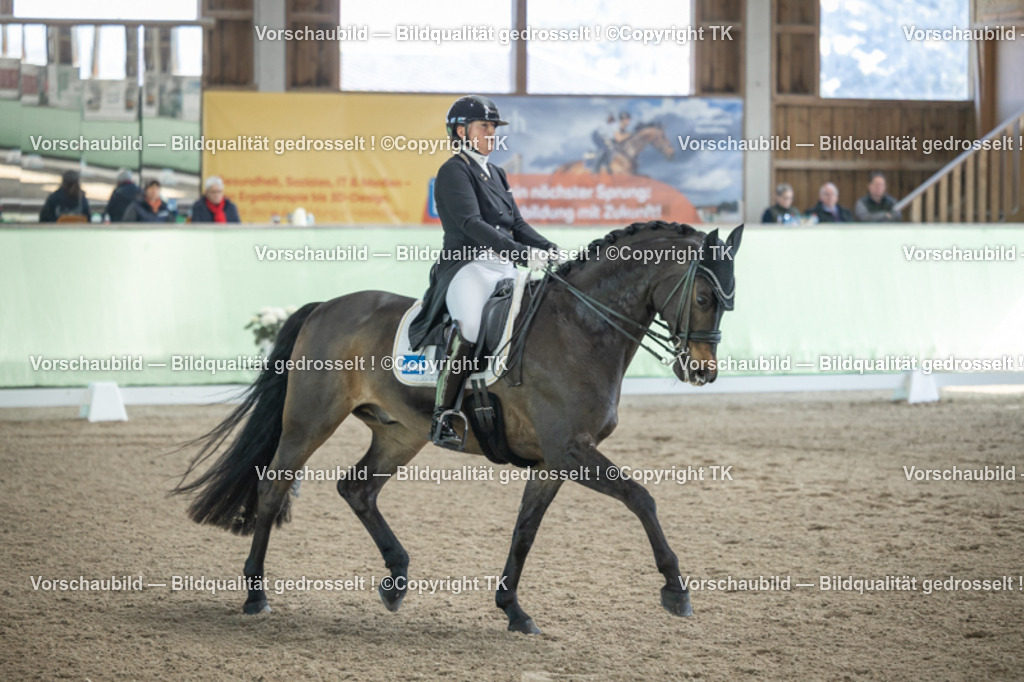 _D5A9461 | Emotionale Pferde- & People-Fotografie rund um Heidelberg, Leimen & Umgebung. Natürliche Fotos von Pferd, Mensch & Familie. Jetzt Termin sichern!