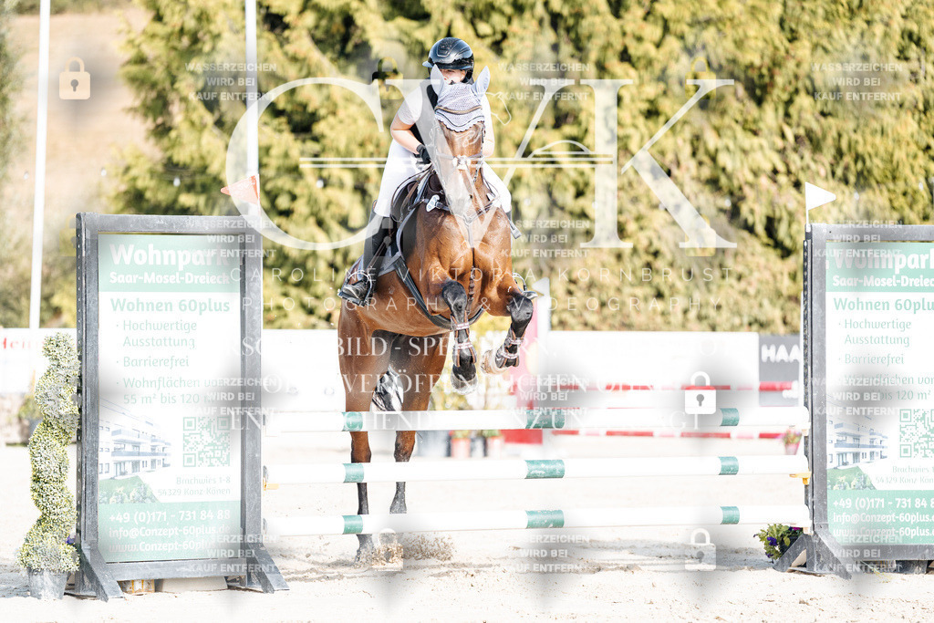 CK909412 | Turnierfotografie Pferdefotografie Trier Rheinland-Pfalz Pferdesport Reitsport Tierfotografie Sportfotografie Pferdevideo Pferdevideografie Equestrianvideography equestrianphotography  - Realisiert mit Pictrs.com
