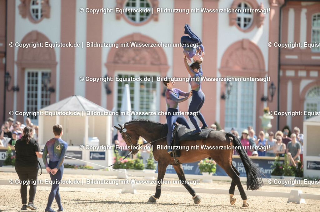 20230528_Voltigieren_NASPA_0464 | equistock