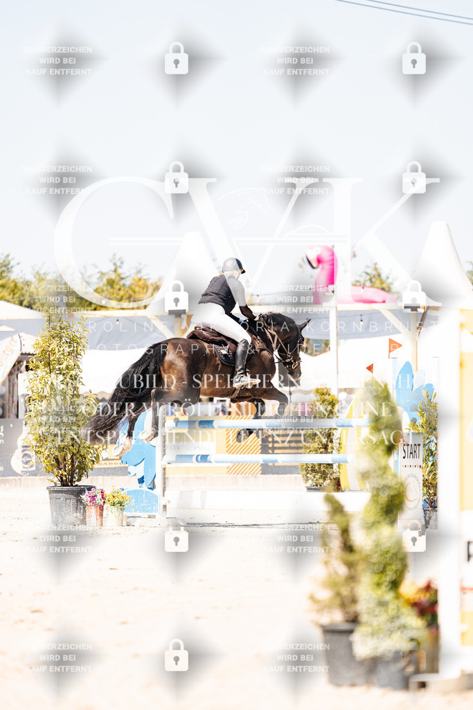 CK909542 | Turnierfotografie Pferdefotografie Trier Rheinland-Pfalz Pferdesport Reitsport Tierfotografie Sportfotografie Pferdevideo Pferdevideografie Equestrianvideography equestrianphotography  - Realisiert mit Pictrs.com