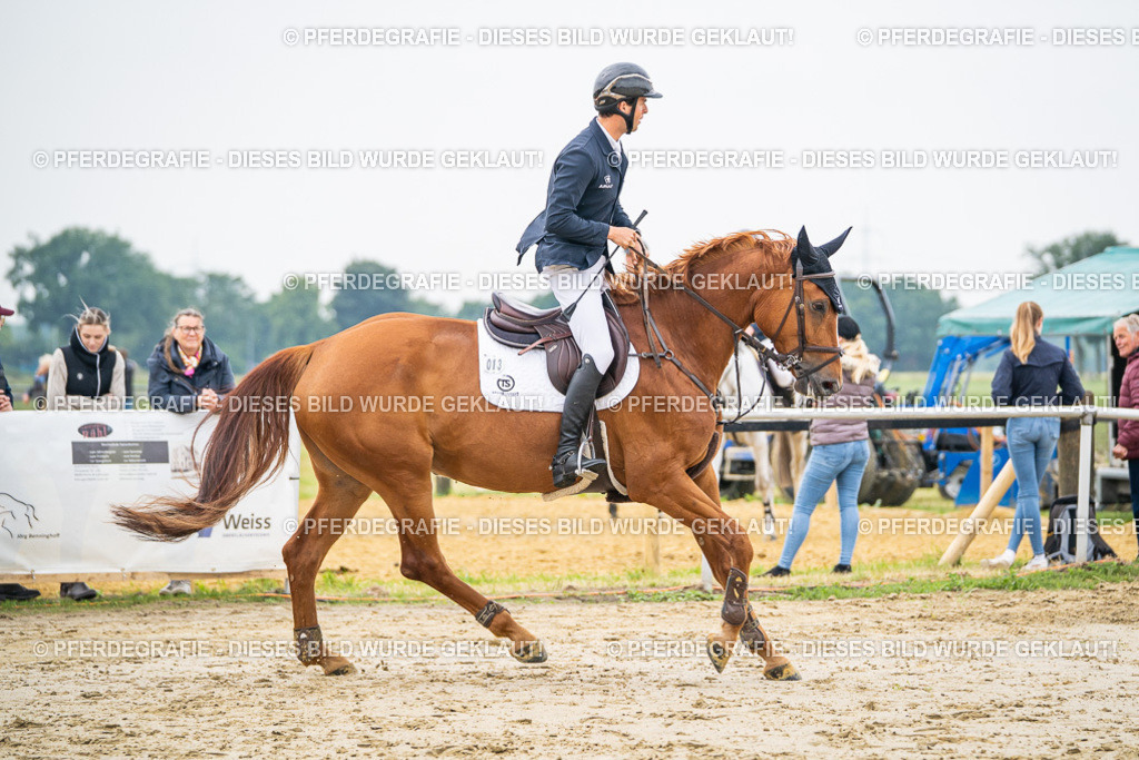 DSC09543 | Pferdegrafie