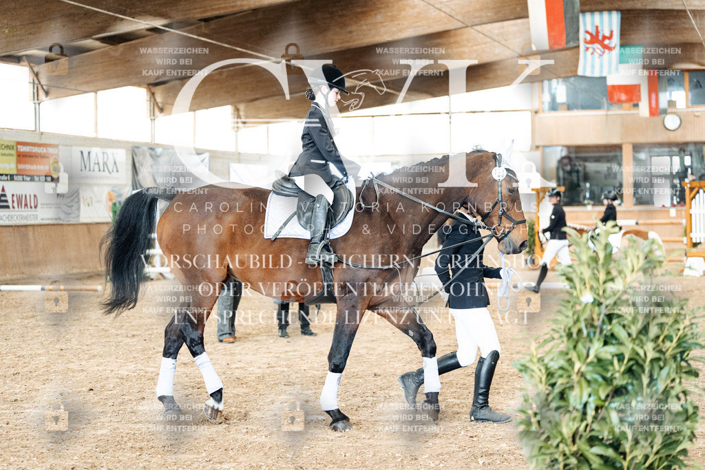 CK905897 | Turnierfotografie Pferdefotografie Trier Rheinland-Pfalz Pferdesport Reitsport Tierfotografie Sportfotografie Pferdevideo Pferdevideografie Equestrianvideography equestrianphotography  - Realisiert mit Pictrs.com