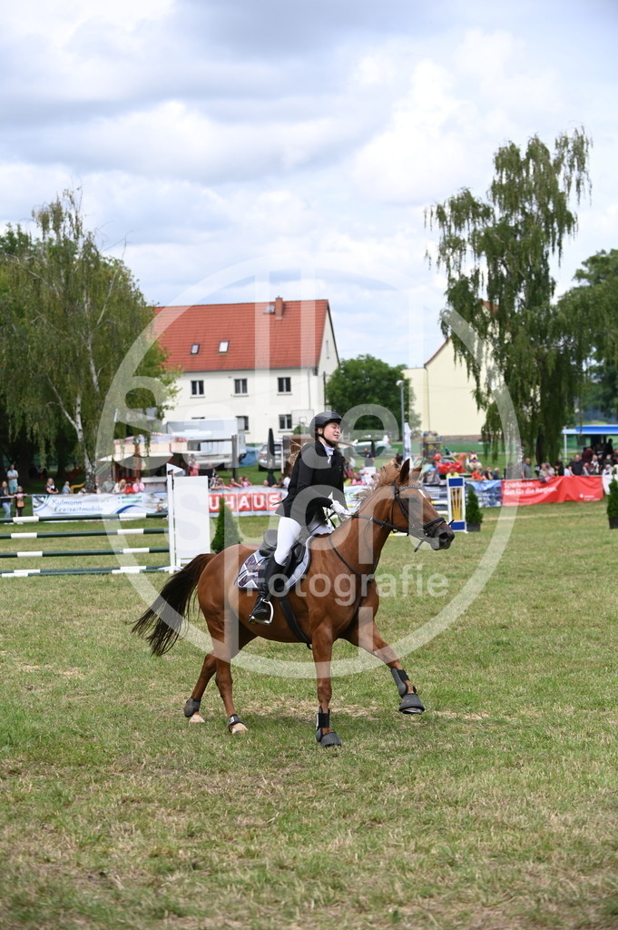 DSC_6401 | sattelsport - Realisiert mit Pictrs.com