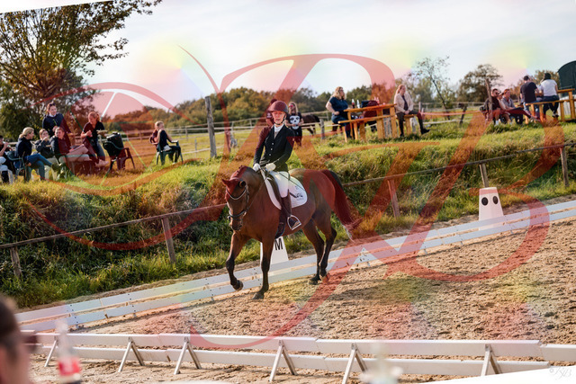 2026_10_03_Siefer-Hof_131004_Z63_72239479 | Professionelle Reitsport-, Turnier- und Eventfotografie von Robert Broda. Galerien mit ausgewählten und bearbeiteten Bildern direkt online ansehen und bestellen.