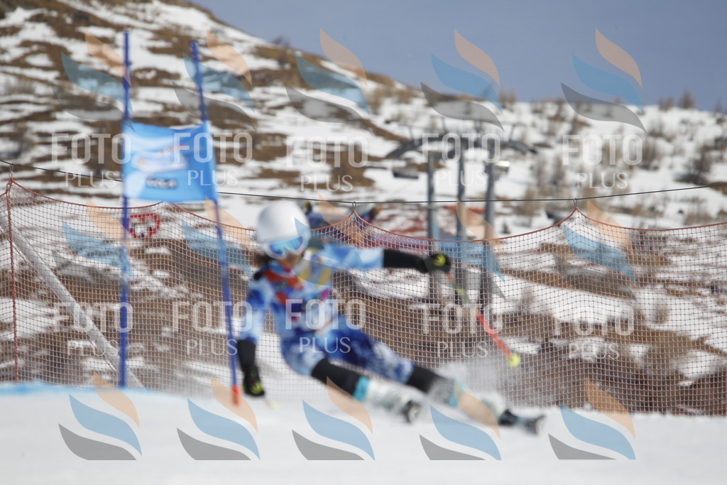 _U3G0506 | holidayphoto