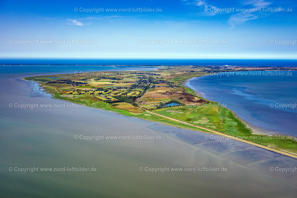 Sylt_Morsum_bis_Westküste_ELS_3835210625 | MORSUM 21.06.2025 Sylt- Insel Ortsansicht an der Meeres-Küste der Nordsee in Morsum im Bundesland Schleswig-Holstein. // Townscape on the seacoast of North Sea in Morsum in the state Schleswig-Holstein. Foto: Martin Elsen