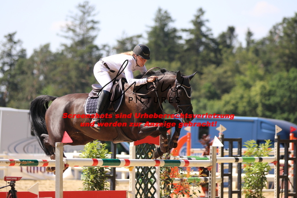 IMG_2911 | lmwpictures - Realisiert mit Pictrs.com