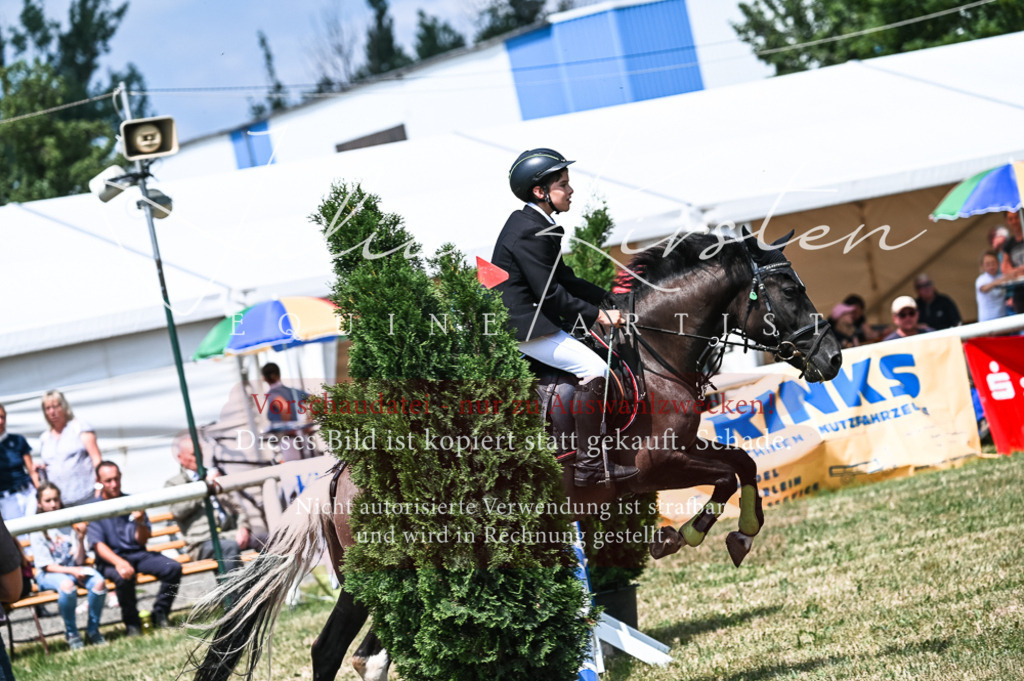 DSC_9771 | Pferde- und Turnierfotografie in Westsachsen. Pferdeportraits, Auftragszeichnungen und intuitive Kunst.