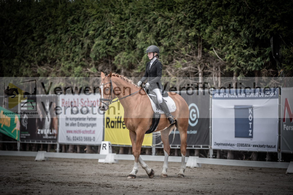 DSC_2763 | equestrian-live-com