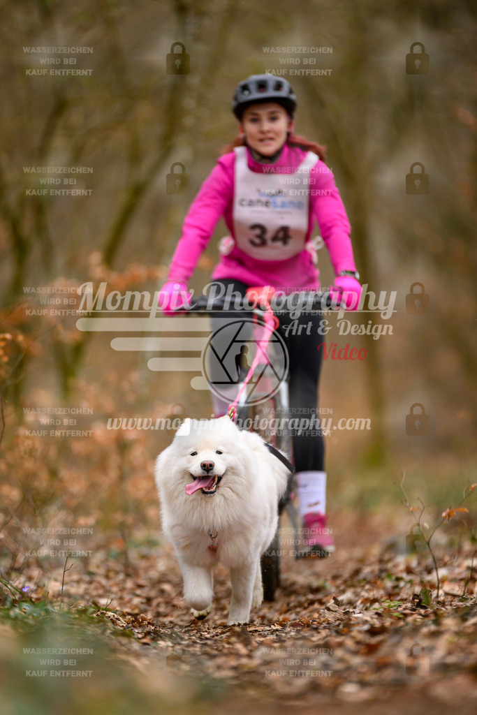 MompixPhotography_ReiatRennen2024_SO_Bike1H-26 | PayLife