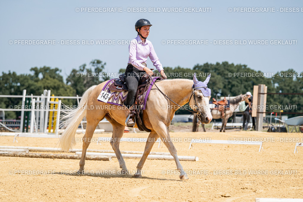 DSC01191 | Pferdegrafie