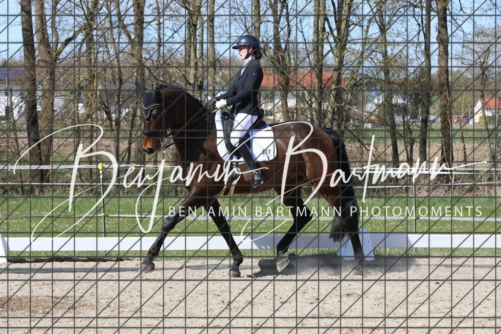 AZ2A4689 | Benjamin Bartmann Photomoments