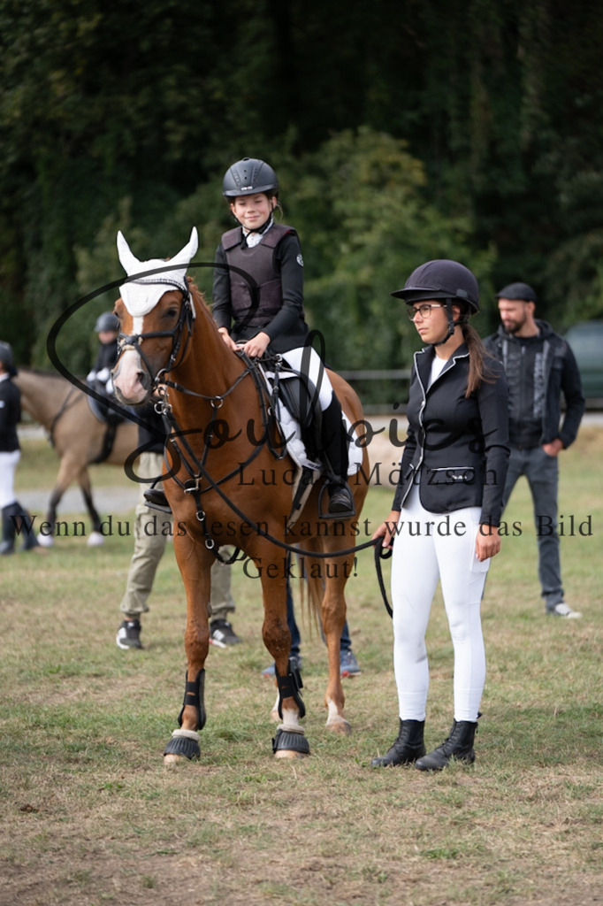 A7V01287 | Pferdefotograf