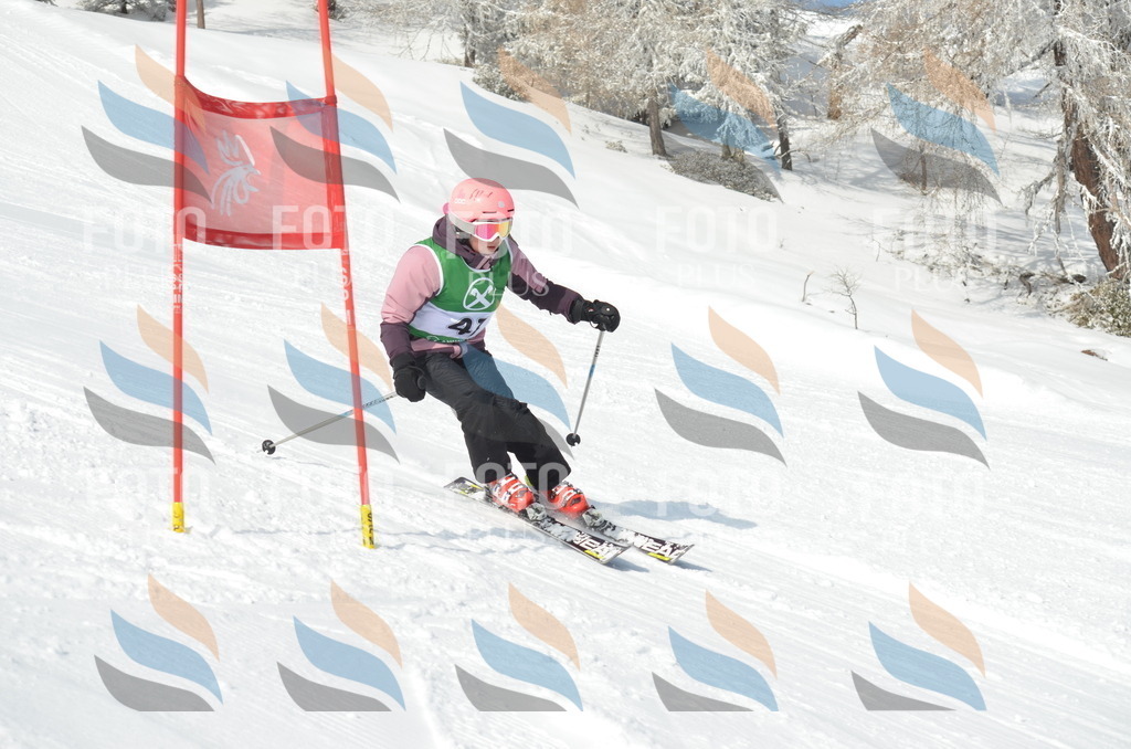 D8761 | holidayphoto