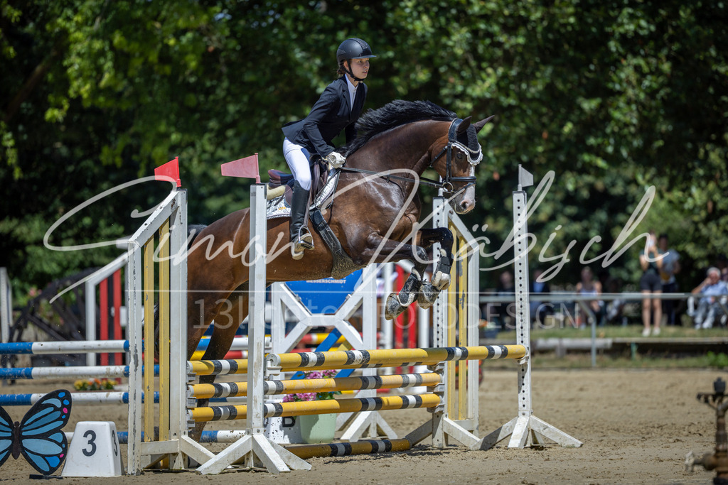 20260704-_3LI8364 | Tierfotografie Pferde, Hunde, Katzen, Haustiere.
Turnierfotografie Reitturniere, Reiten, Springreiten, Dressur in Hanau, dem Main-Kinzig-Kreis und dem Rhein-Main- Gebiet um Frankfurt