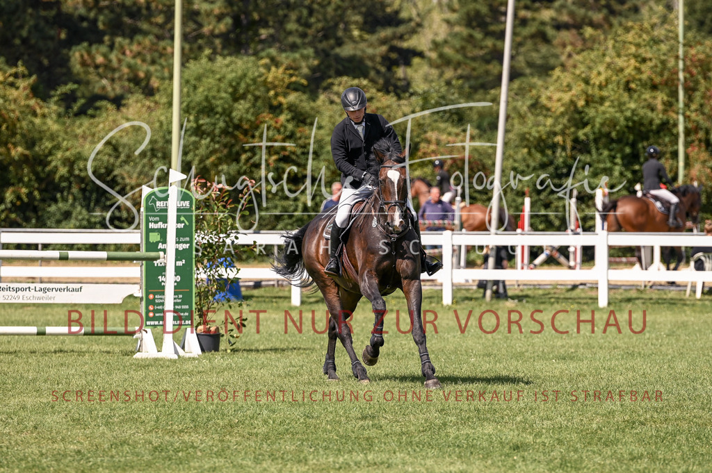 Schugtsche-Düren.2024-09.Springprf.L-156 | Schugtsche Fotografie - Realisiert mit Pictrs.com