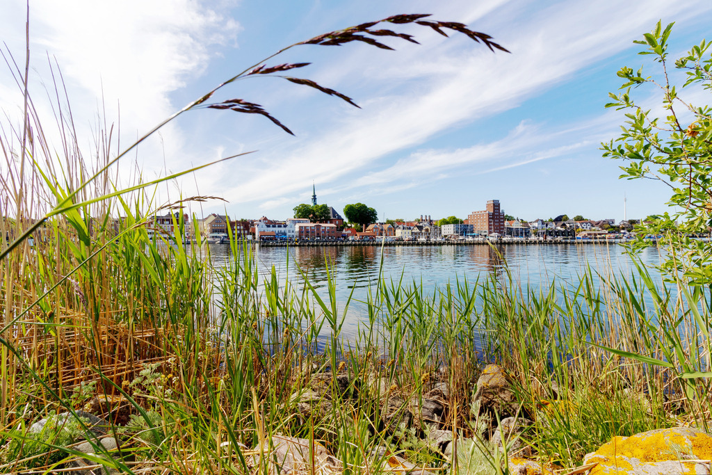 Wandbild: Gräser am Ufer der Schlei in Kappeln | Dieses Wandbild im Querformat zeigt Gräser am Ufer der Schlei in Kappeln. Zwischen den Gräsern kann man in der Ferne den Hafen erkennen. Im Vordergrund ragt ein Grashalm in den Himmel hinein. - Realisiert mit Pictrs.com