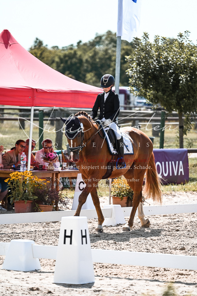 DSC_5094 | Pferde- und Turnierfotografie in Westsachsen. Pferdeportraits, Auftragszeichnungen und intuitive Kunst.