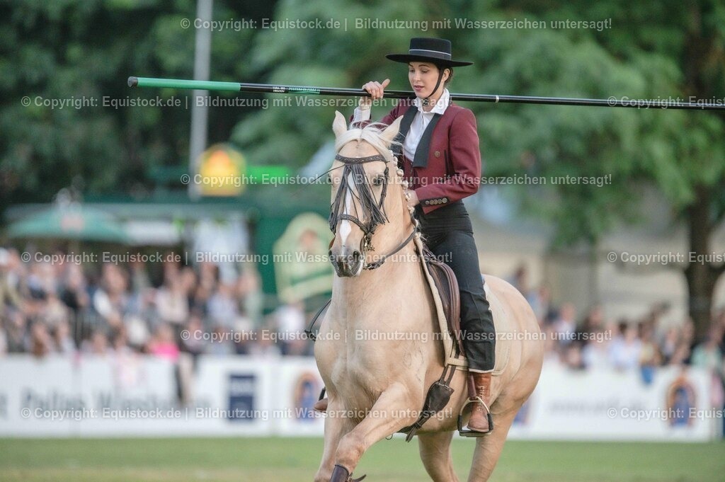 20230526_Pferdenacht_0757 | equistock
