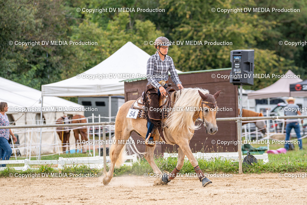 LM Heiligenwald Tag 2-1587 | dv-media-shop - Realisiert mit Pictrs.com