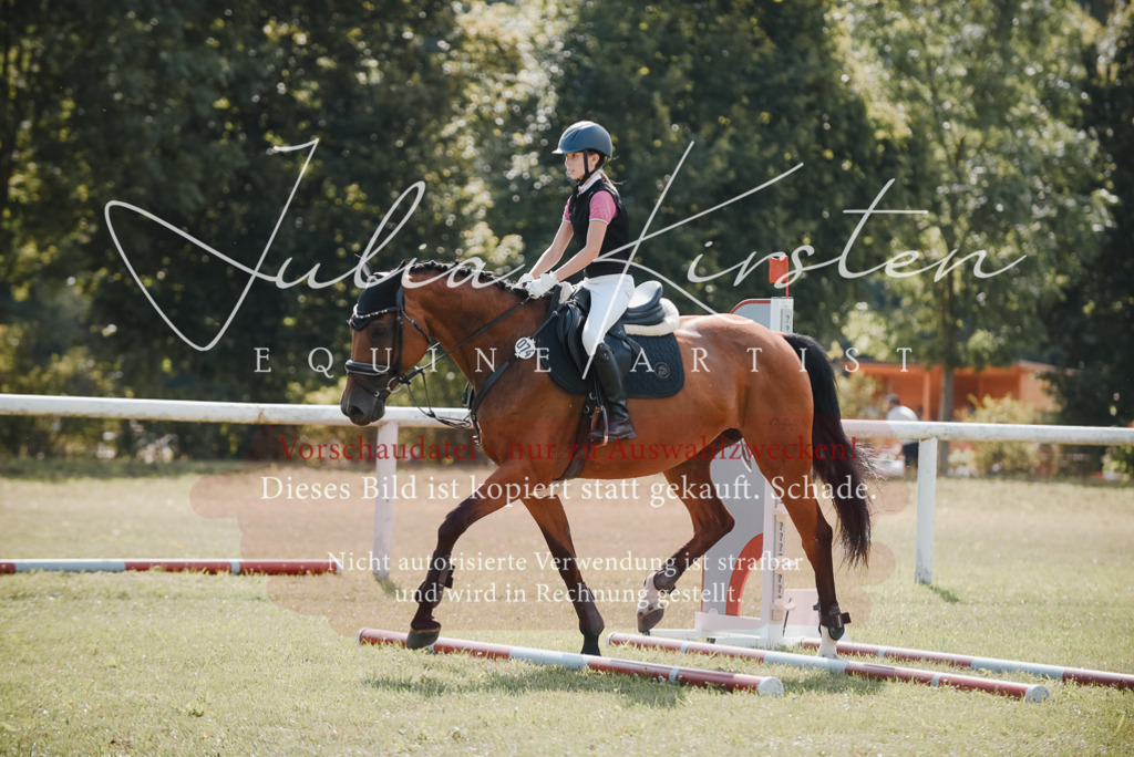 DSC_5385 | Pferde- und Turnierfotografie in Westsachsen. Pferdeportraits, Auftragszeichnungen und intuitive Kunst.