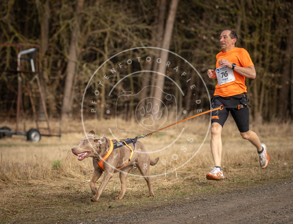 DV3A3790 | Hundefotografie, Tierfotograf, Pfotenfotografie, Fotoshooting Hund, Hunde Portrait, Hundesport, Hundeportraits, Heideshooting, Hunde, Sportfotograf, Hundefotograf, Turnierhundsport, THS,  - Realisiert mit Pictrs.com
