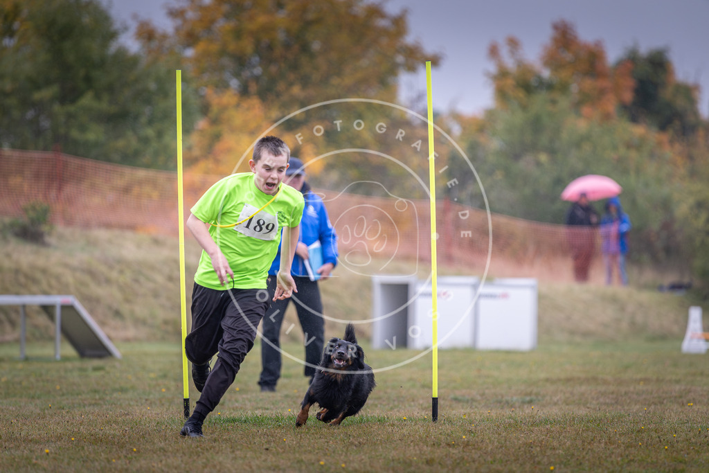 Pfotenfotografie_DV3A0222 | Hundefotografie, Tierfotograf, Pfotenfotografie, Fotoshooting Hund, Hunde Portrait, Hundesport, Hundeportraits, Heideshooting, Hunde, Sportfotograf, Hundefotograf, Turnierhundsport, THS,  - Realisiert mit Pictrs.com