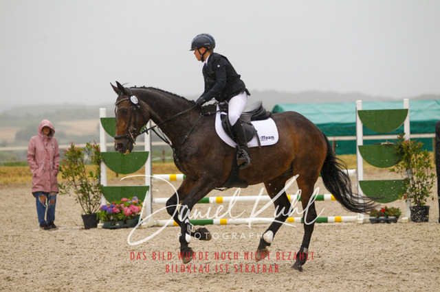 DKP47423 | Turniersportfotografie; Pferdefotografie; Dressurfotografie