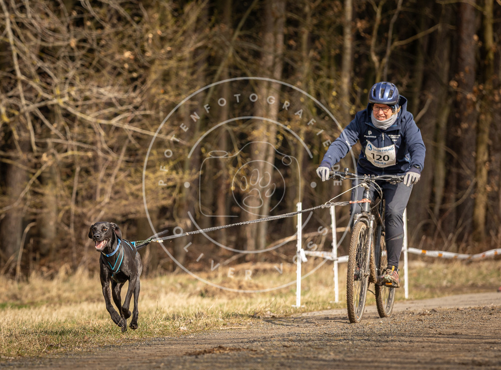 DV3A4365 | Hundefotografie, Tierfotograf, Pfotenfotografie, Fotoshooting Hund, Hunde Portrait, Hundesport, Hundeportraits, Heideshooting, Hunde, Sportfotograf, Hundefotograf, Turnierhundsport, THS,  - Realisiert mit Pictrs.com